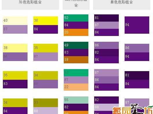 紫色搭配指南解锁高级感配色方案