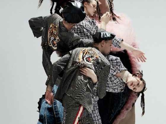 揭秘hardy的多面含义：不只是“坚强”那么简单